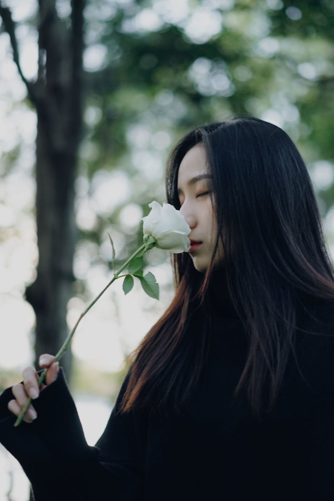 6a62e73cc3a17.jpg