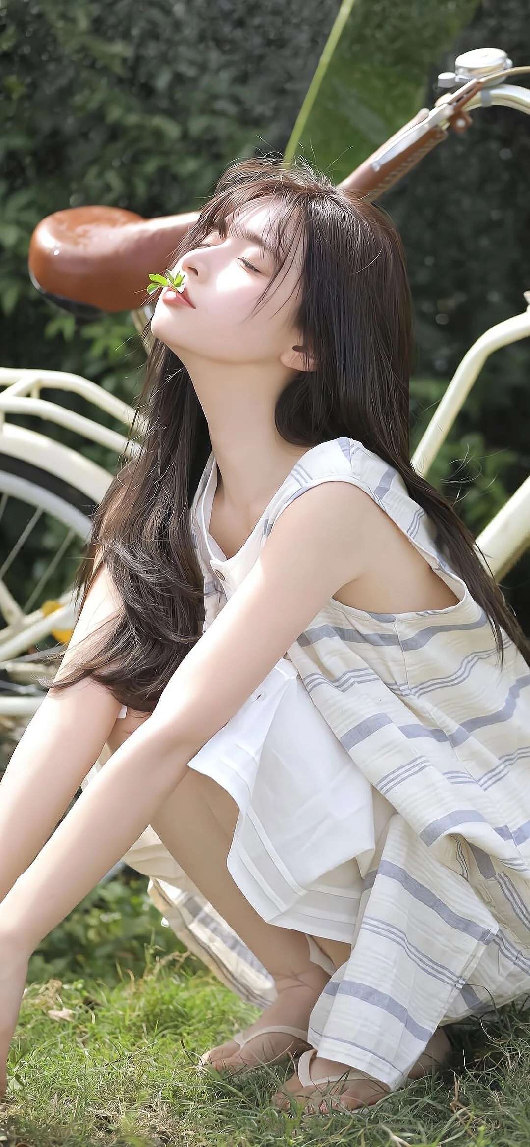 6a62e8278b360.jpg