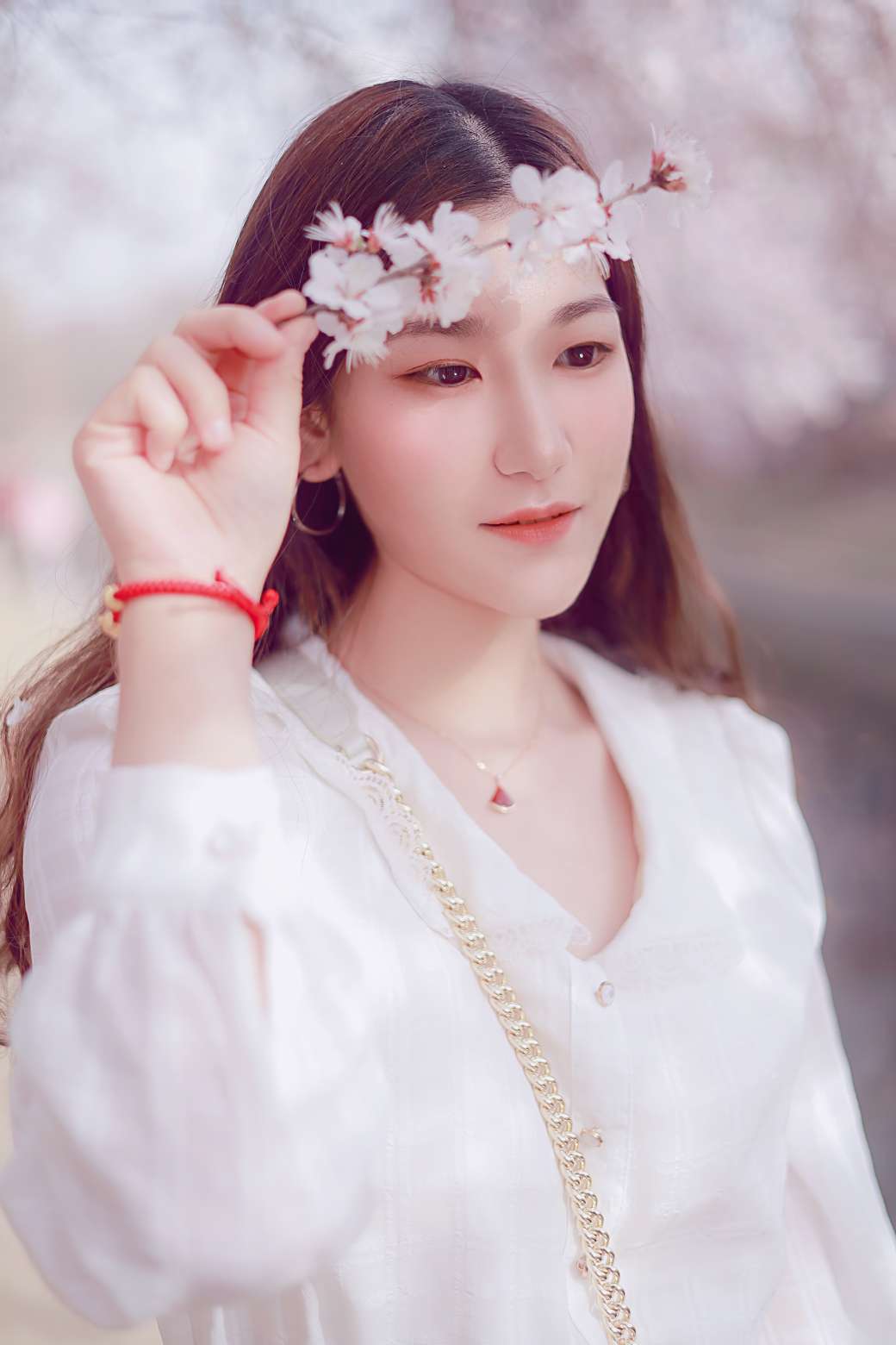 6a62e946dae8c.jpg