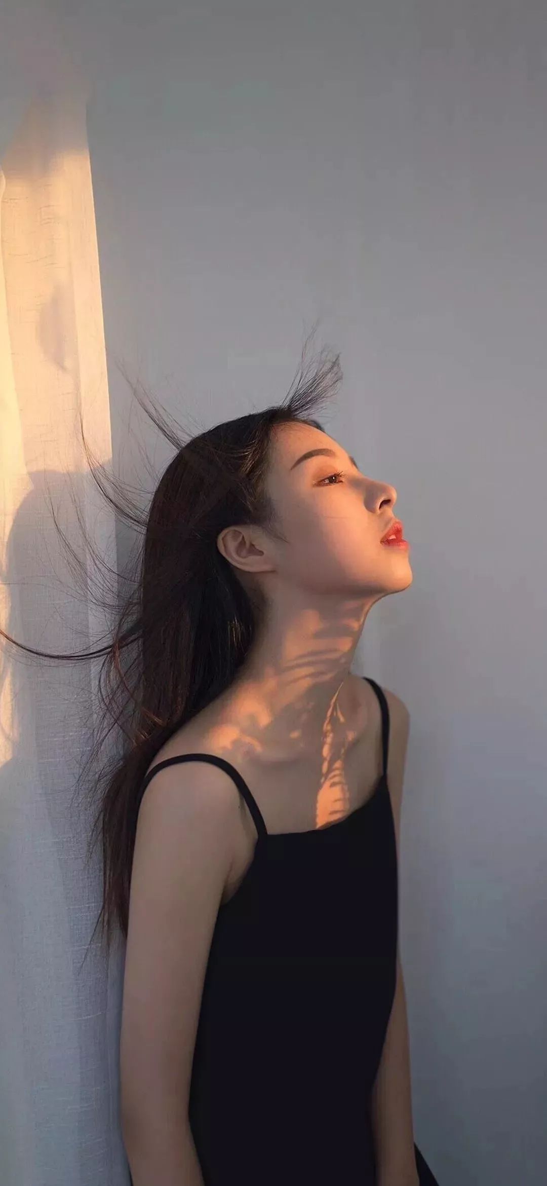 6a62ea3e612ce.jpg