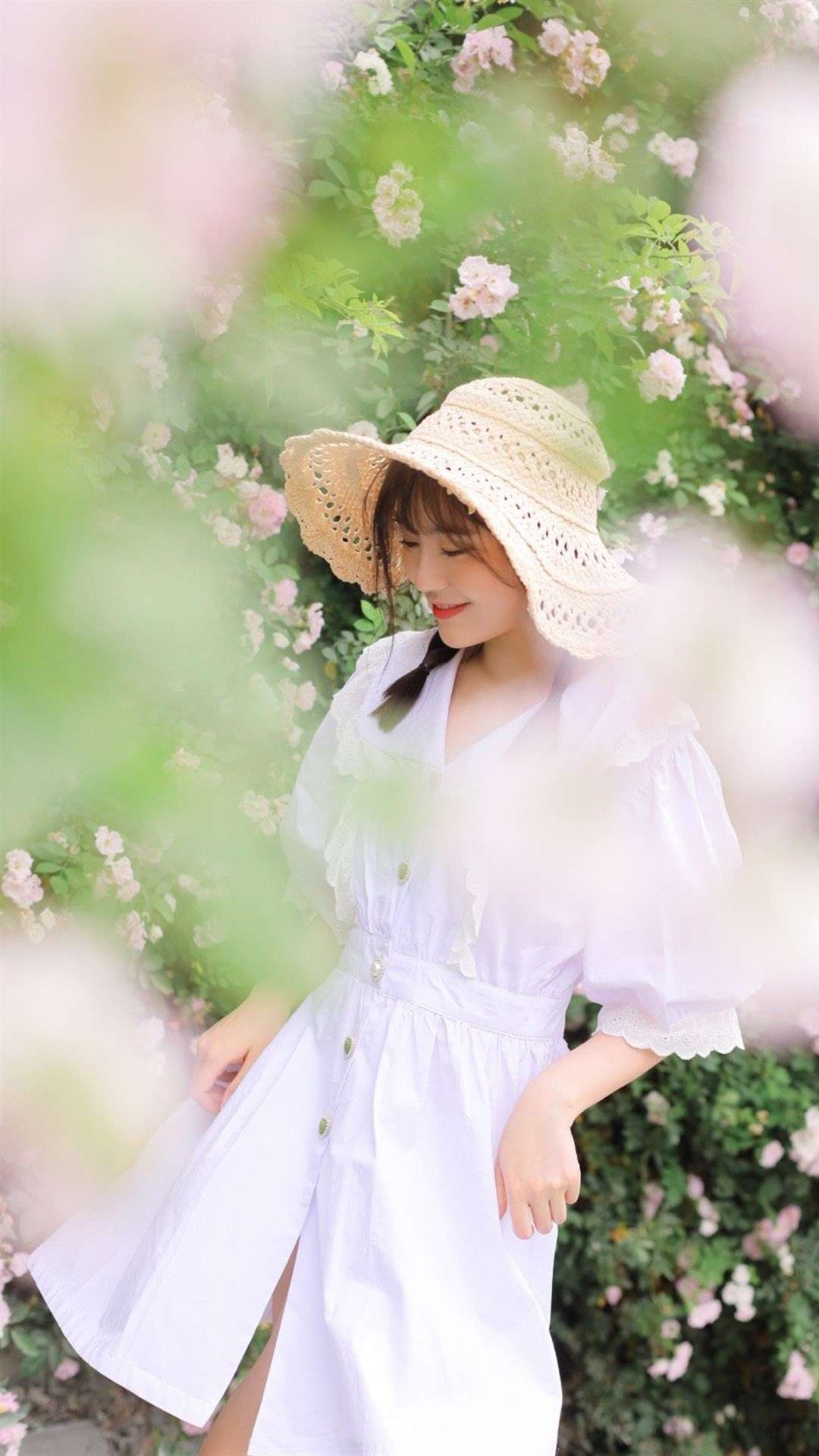 6a62ea8e1220f.jpg