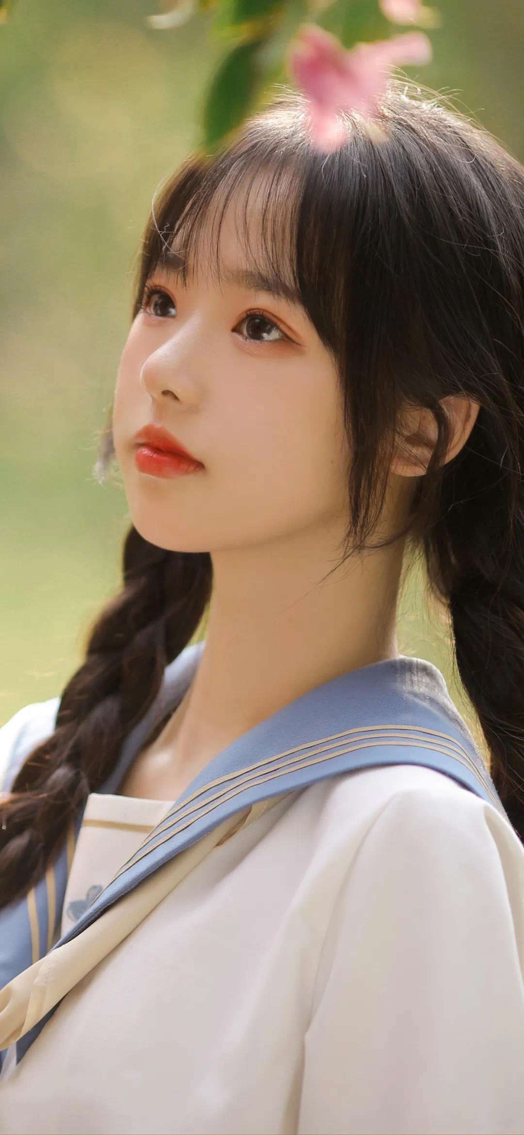 6a62ea9c1de1f.jpg