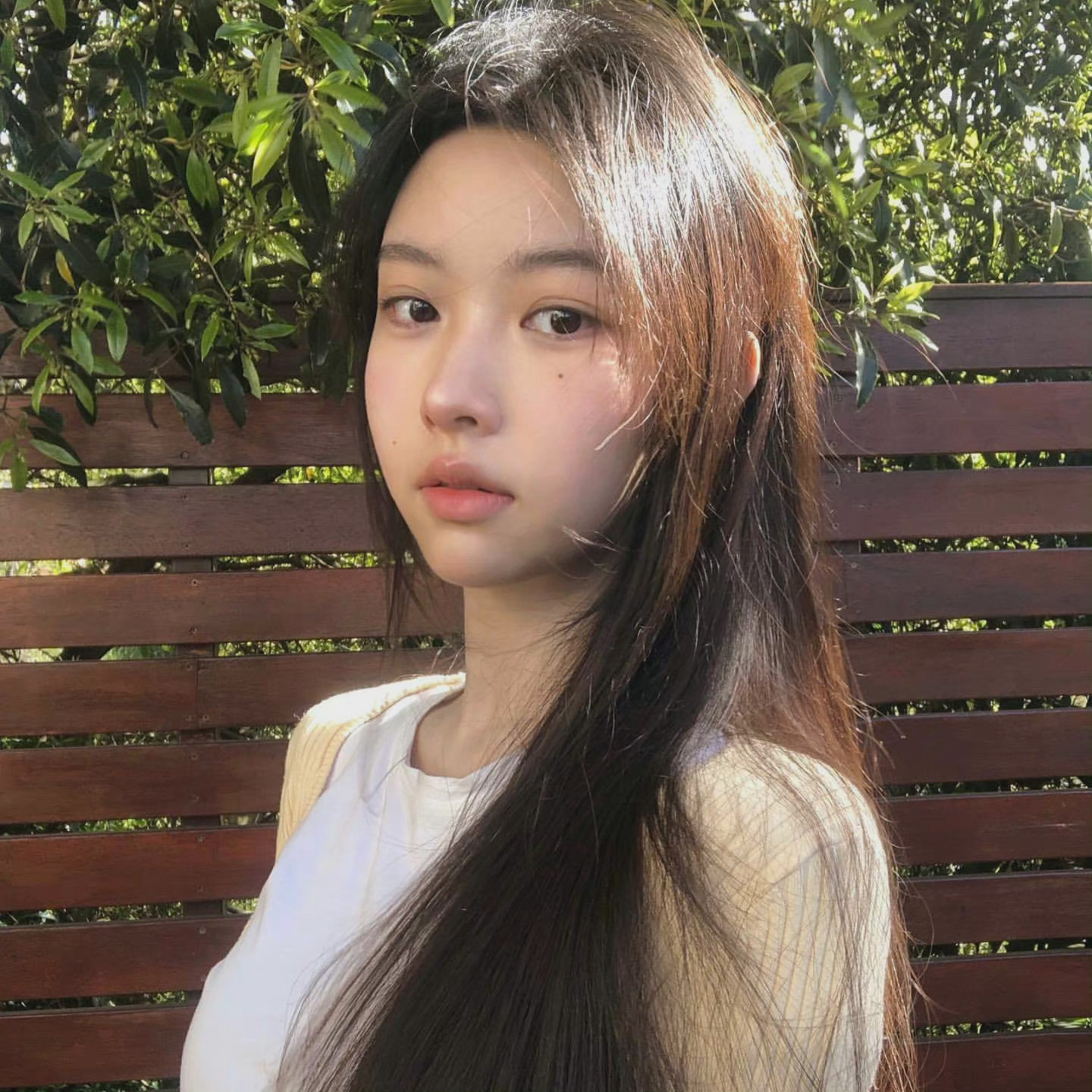 6a62eabc47b05.jpg