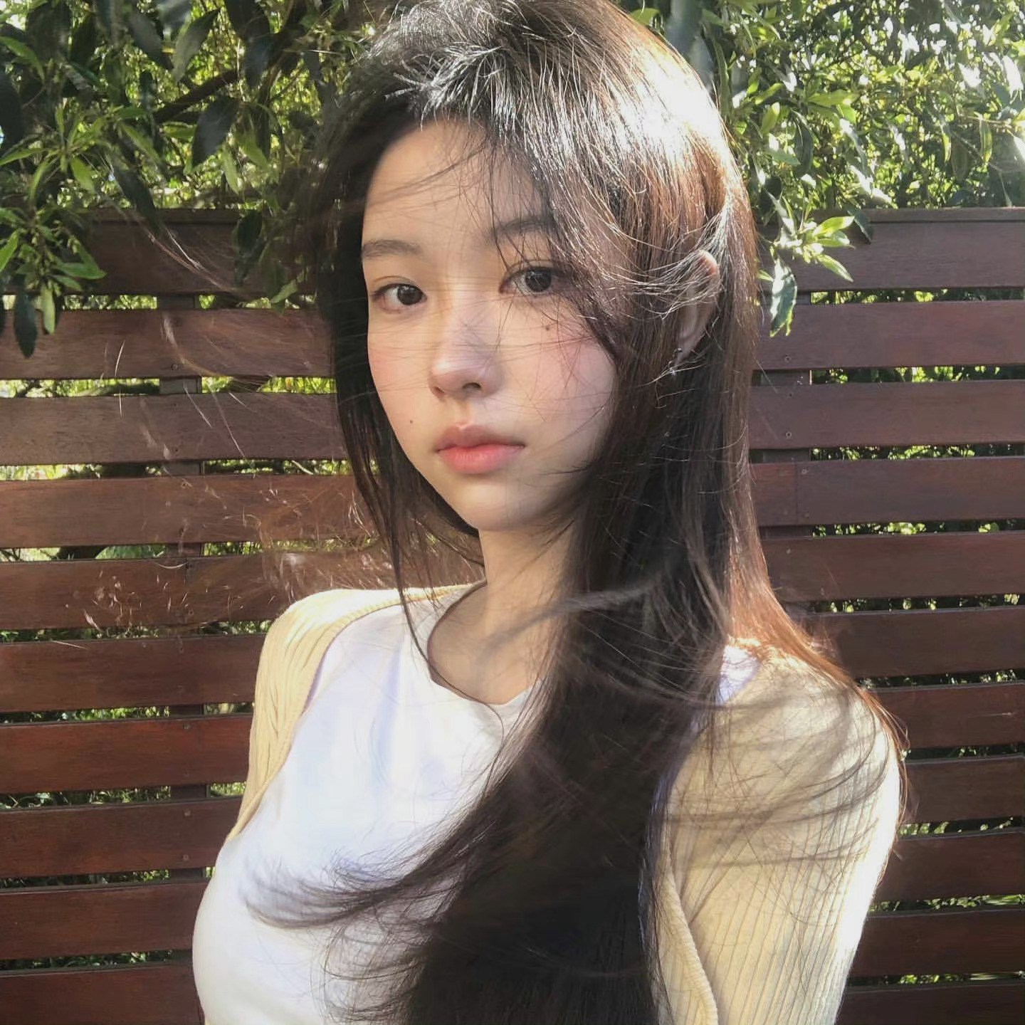 6a62eac402ef1.jpg