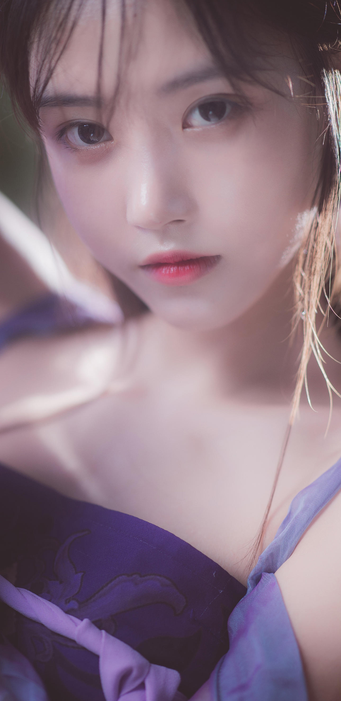 6a62ebc7ad333.jpg