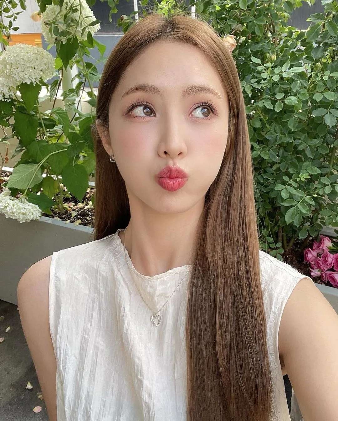 6a62ebfe0b8c4.jpg