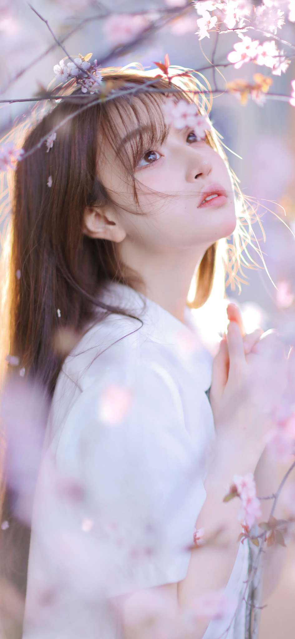 6a62ec3541ef3.jpg