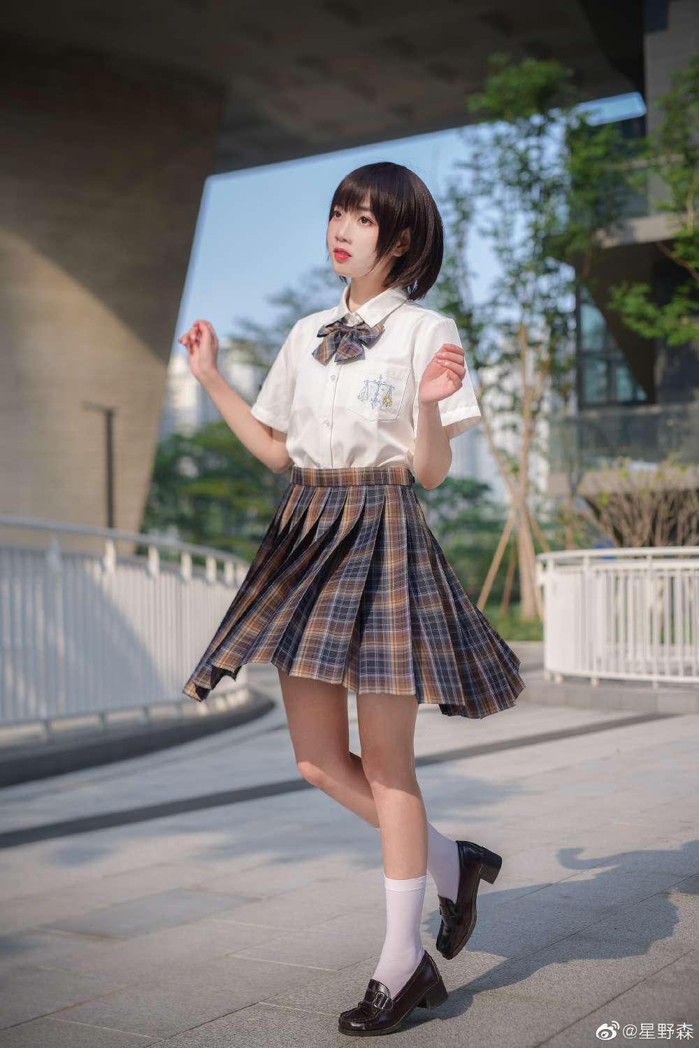 6a62eca083571.jpg
