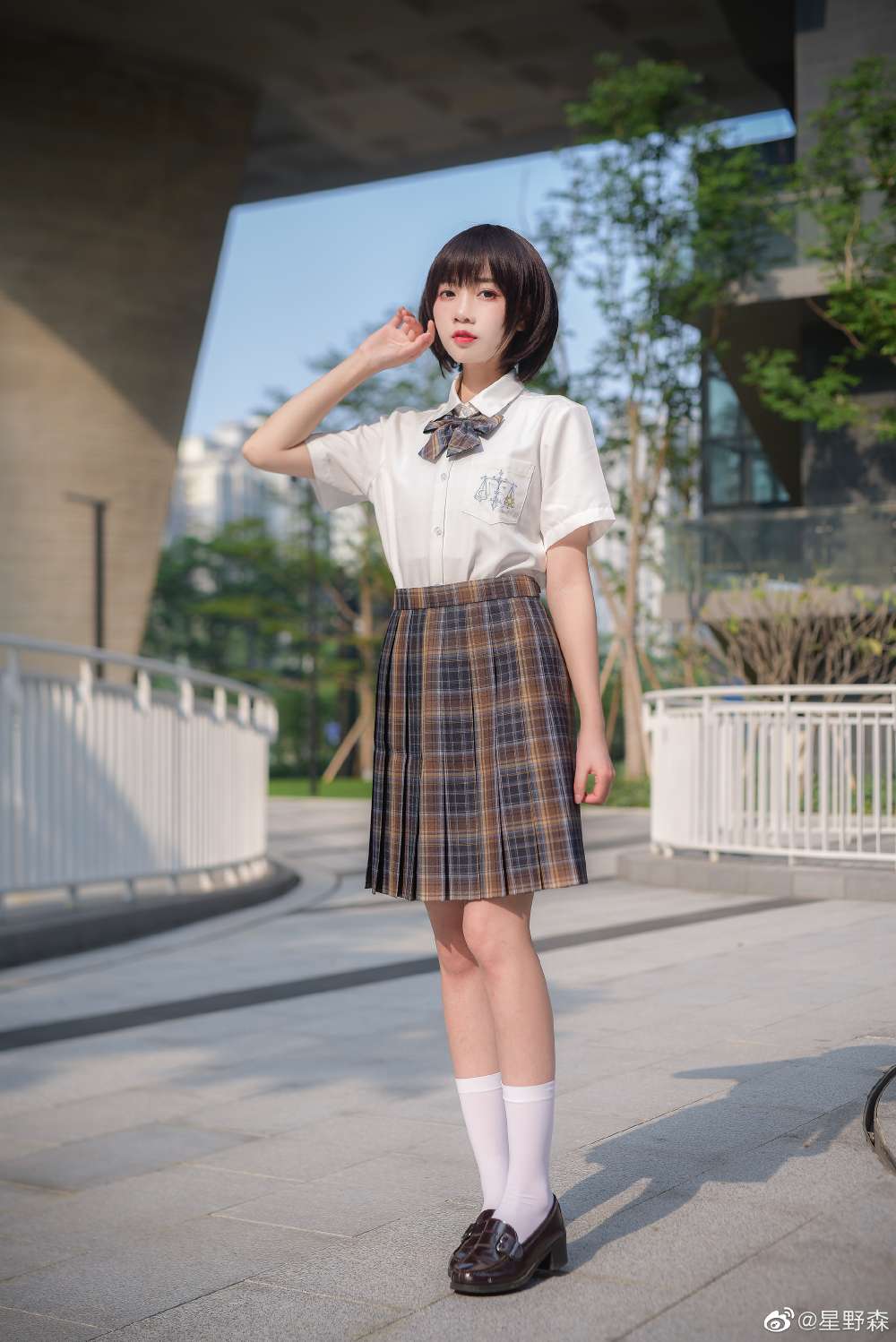 6a62eca163165.jpg