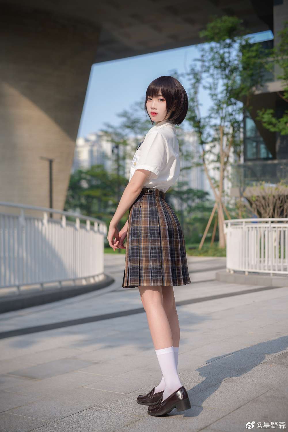 6a62eca192251.jpg