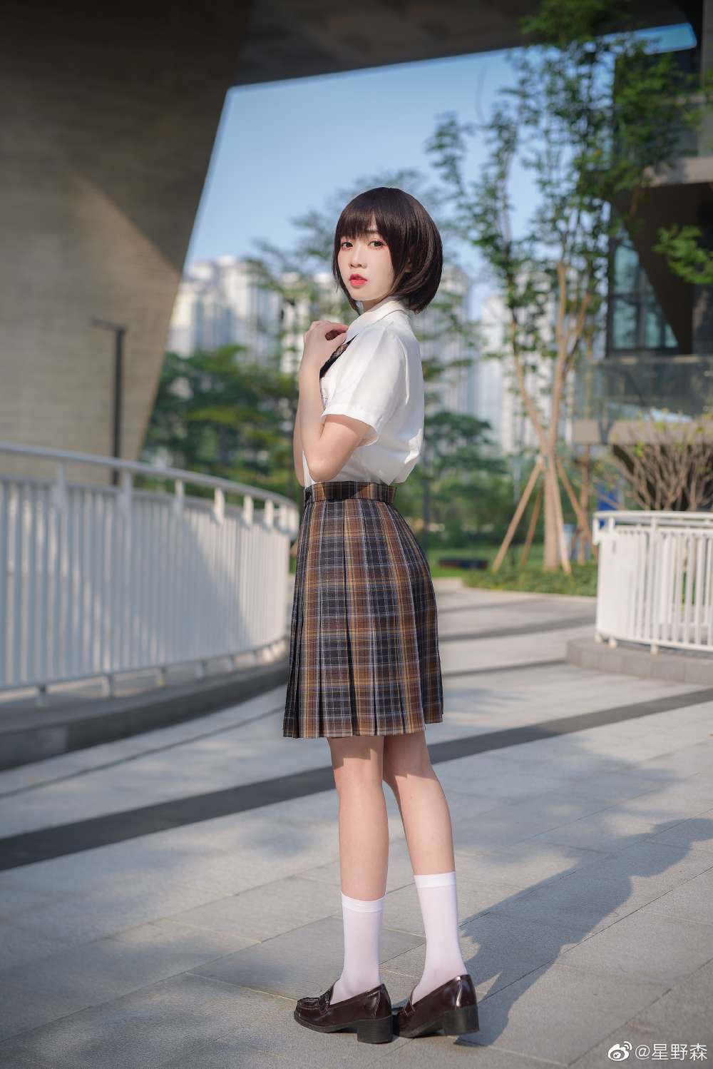 6a62eca1980a8.jpg