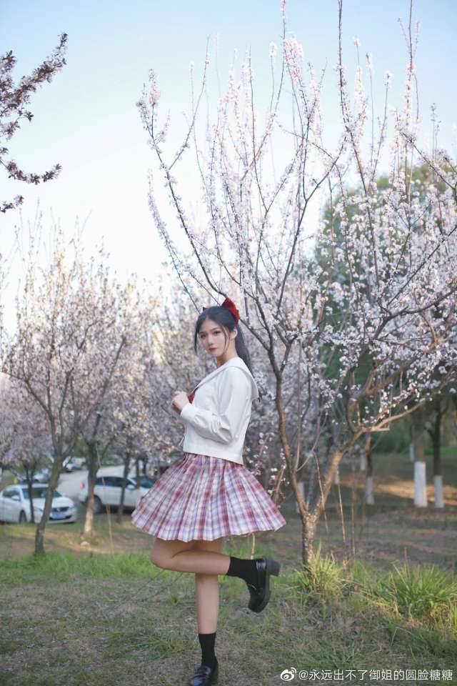 6a62eca7721ca.jpg