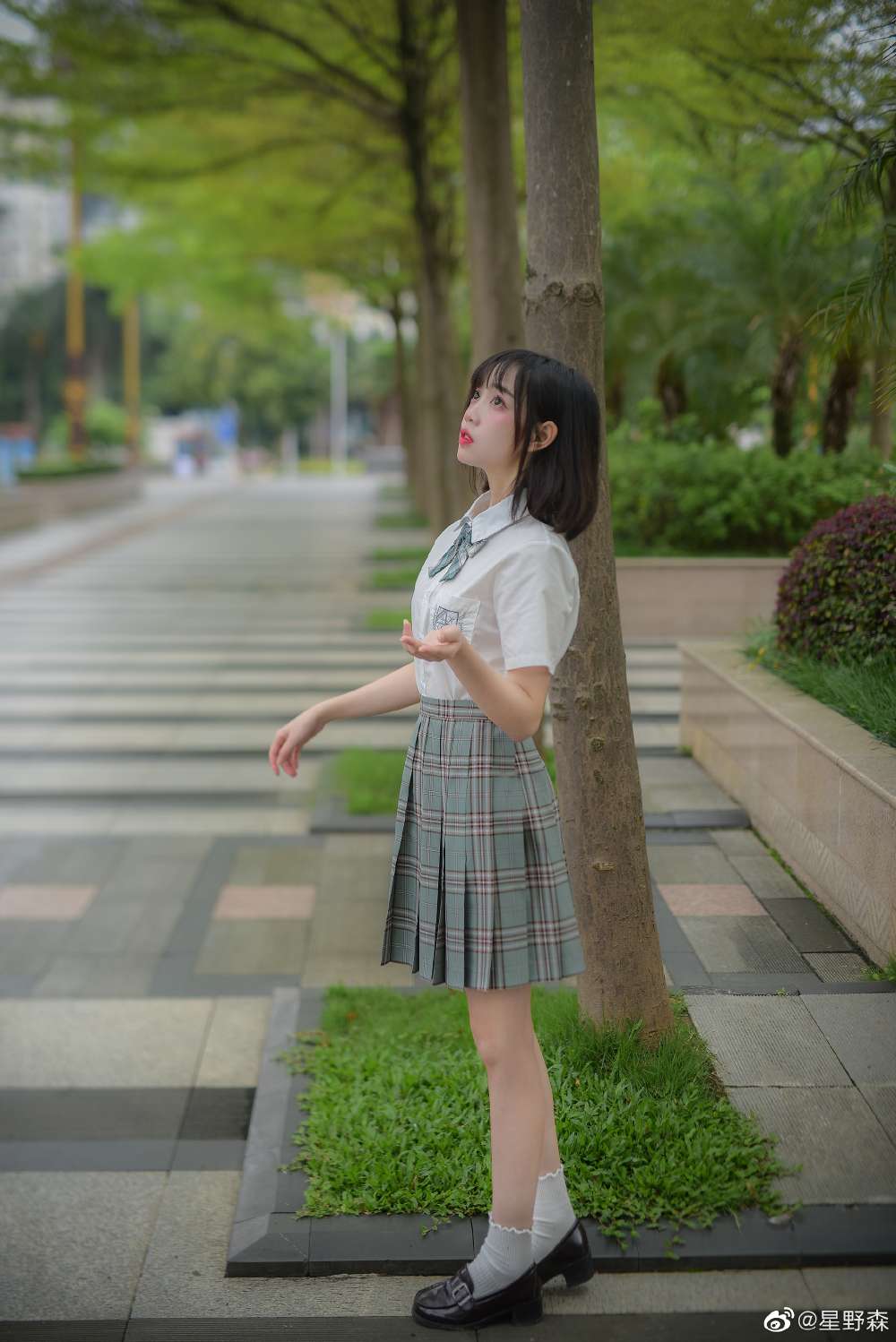 6a62eccb5b54c.jpg