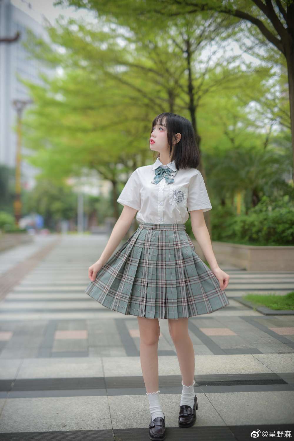 6a62eccba1877.jpg