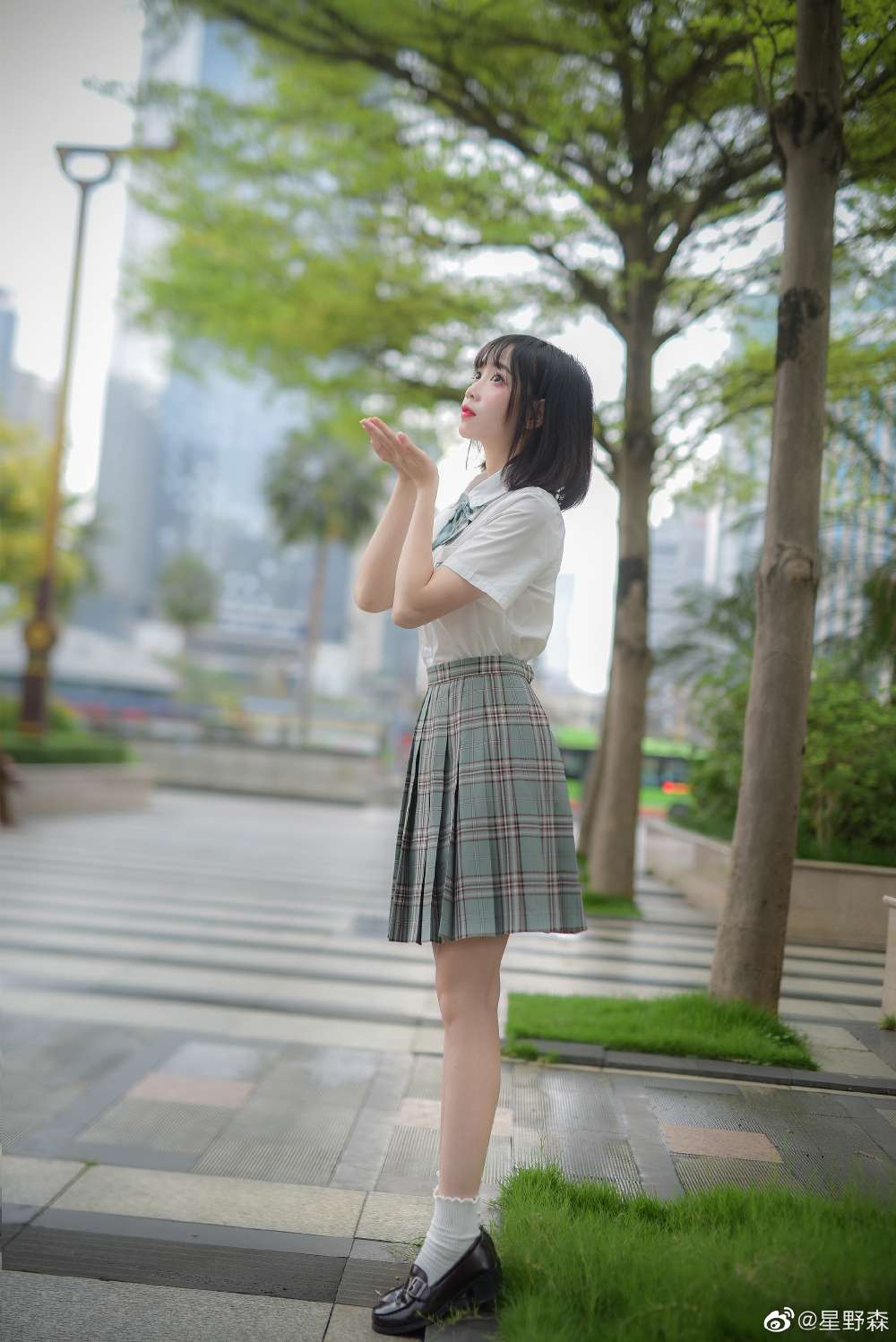 6a62eccc82c23.jpg