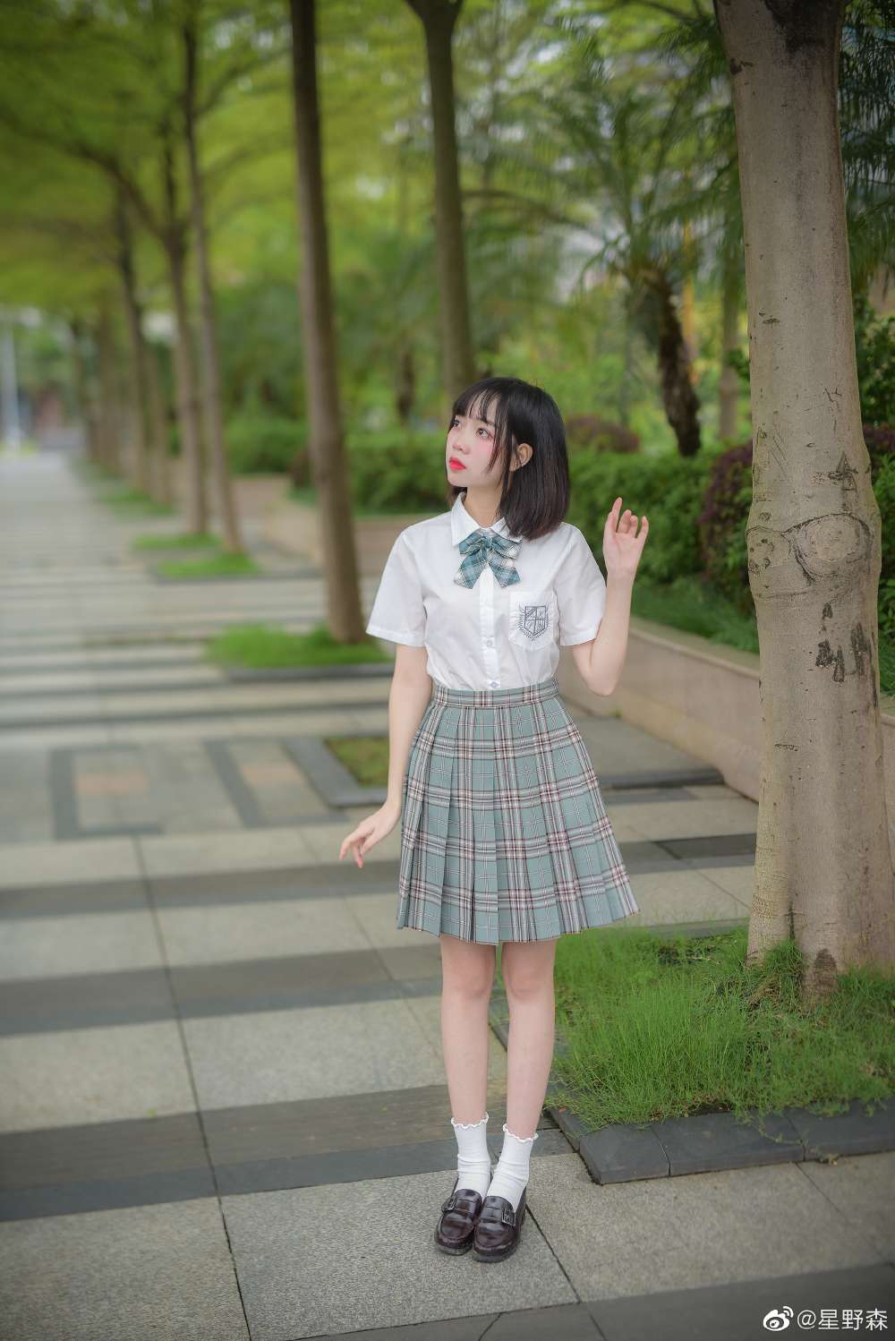 6a62eccc87f63.jpg