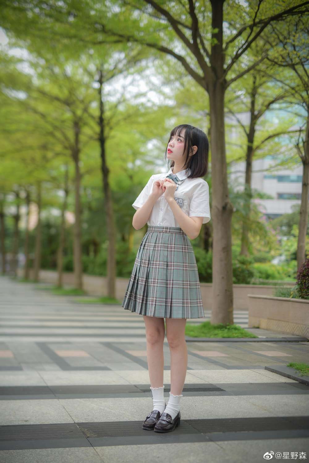 6a62ecccd19b9.jpg