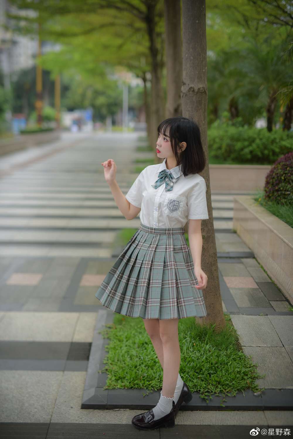 6a62eccd0f309.jpg