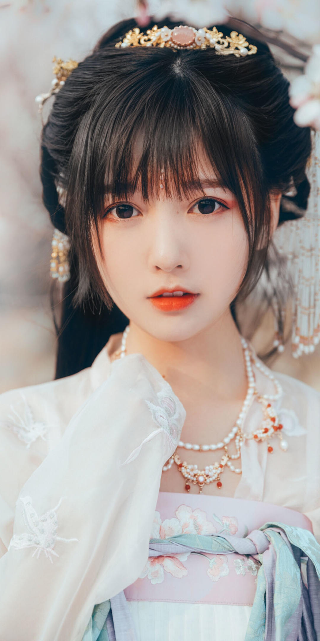 6a62ece8804b2.jpg