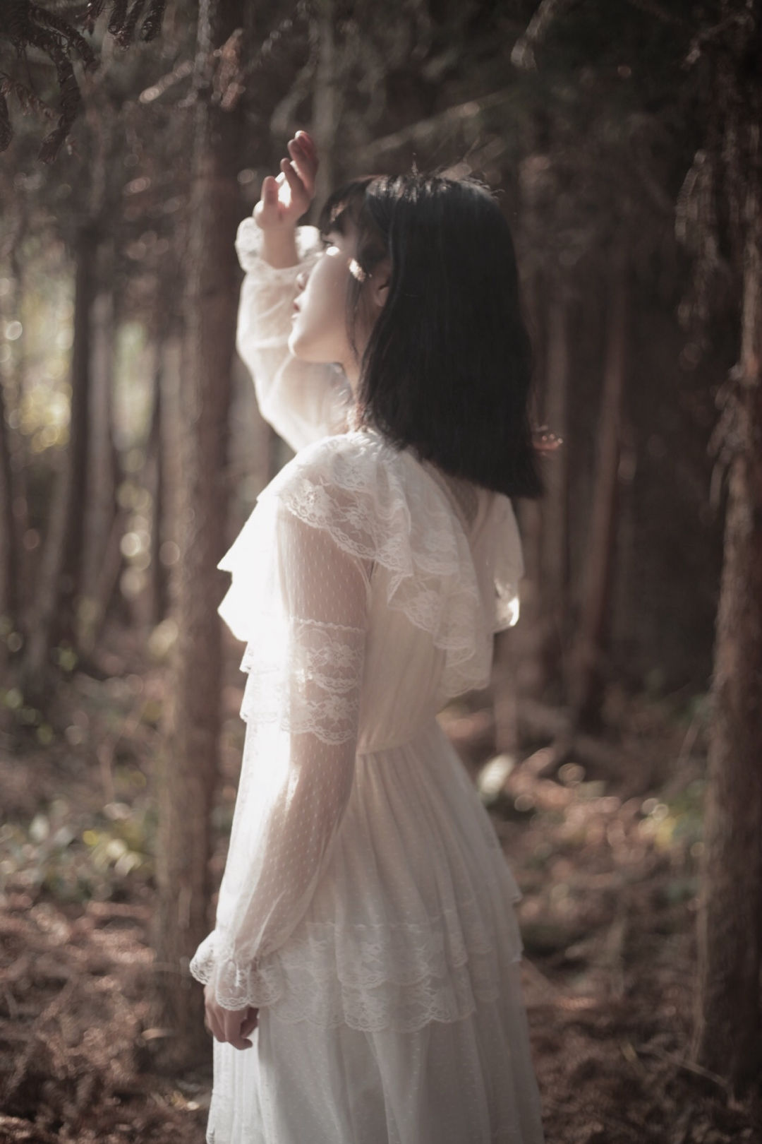 6a62ed44c210c.jpg