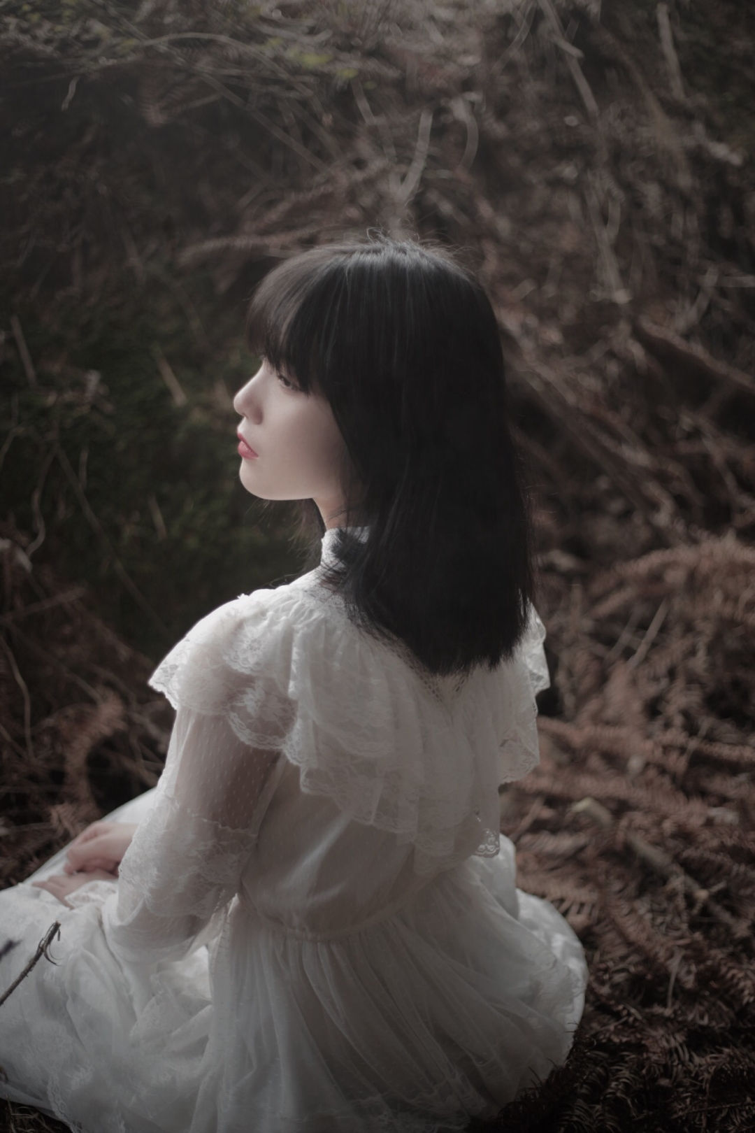 6a62ed46715c9.jpg