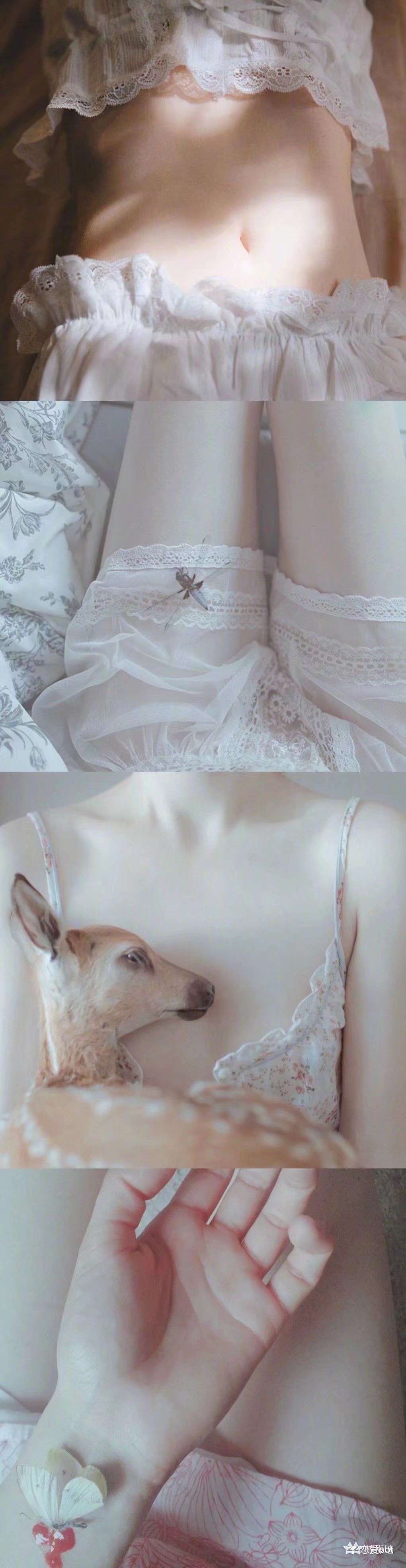 6a62ed490fd44.jpg