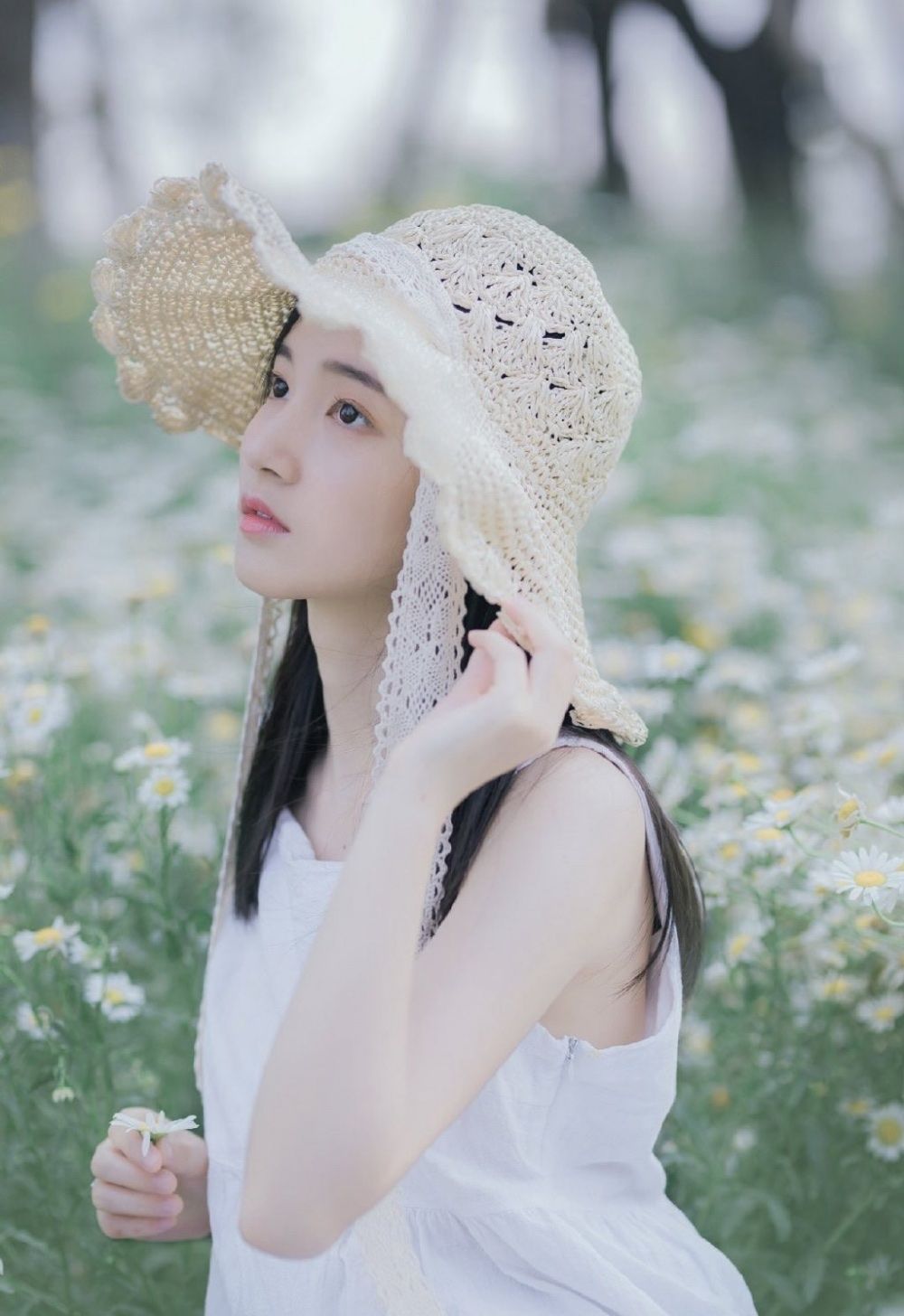 6a62ed7c367de.jpg