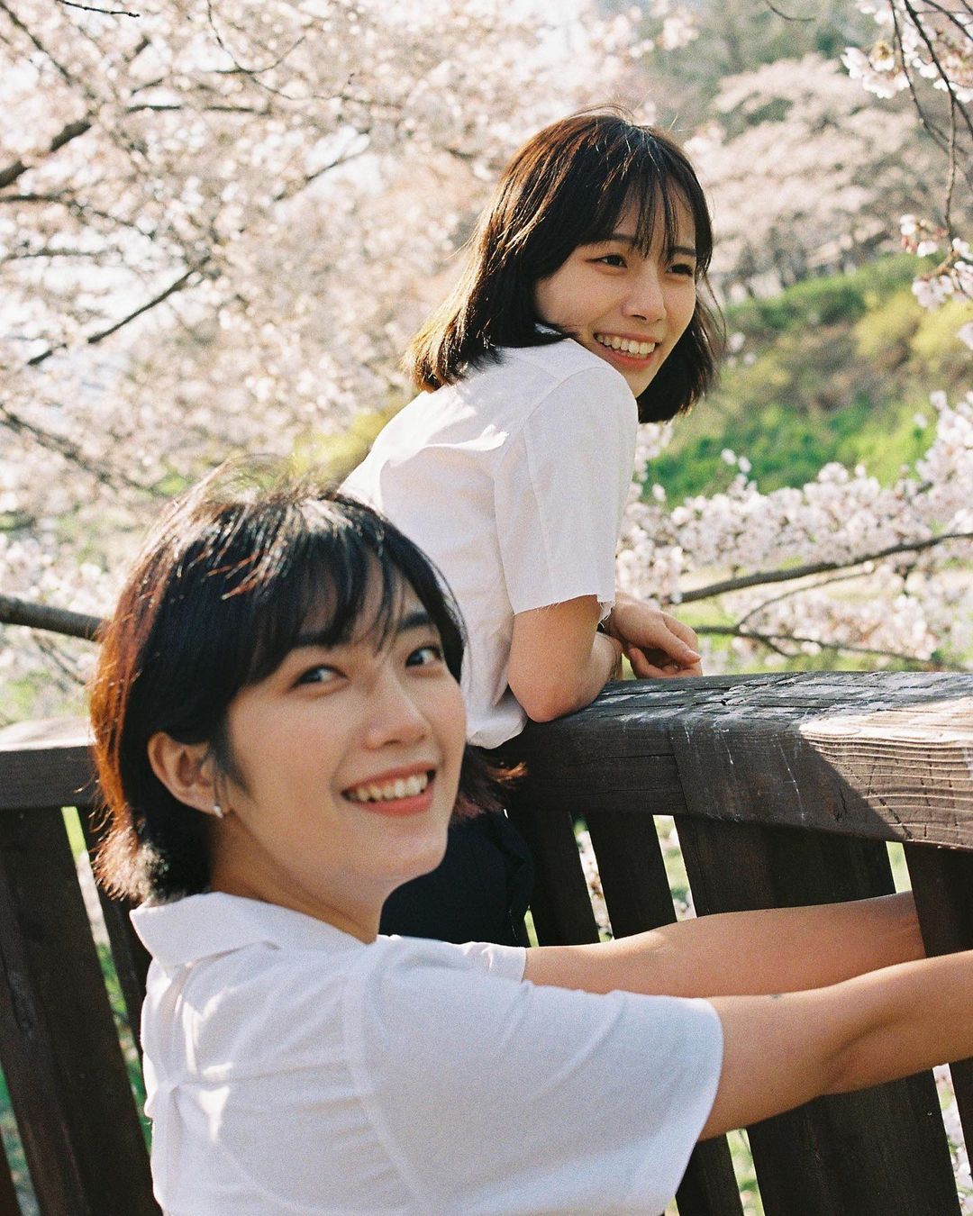 6a62ed921c7eb.jpg
