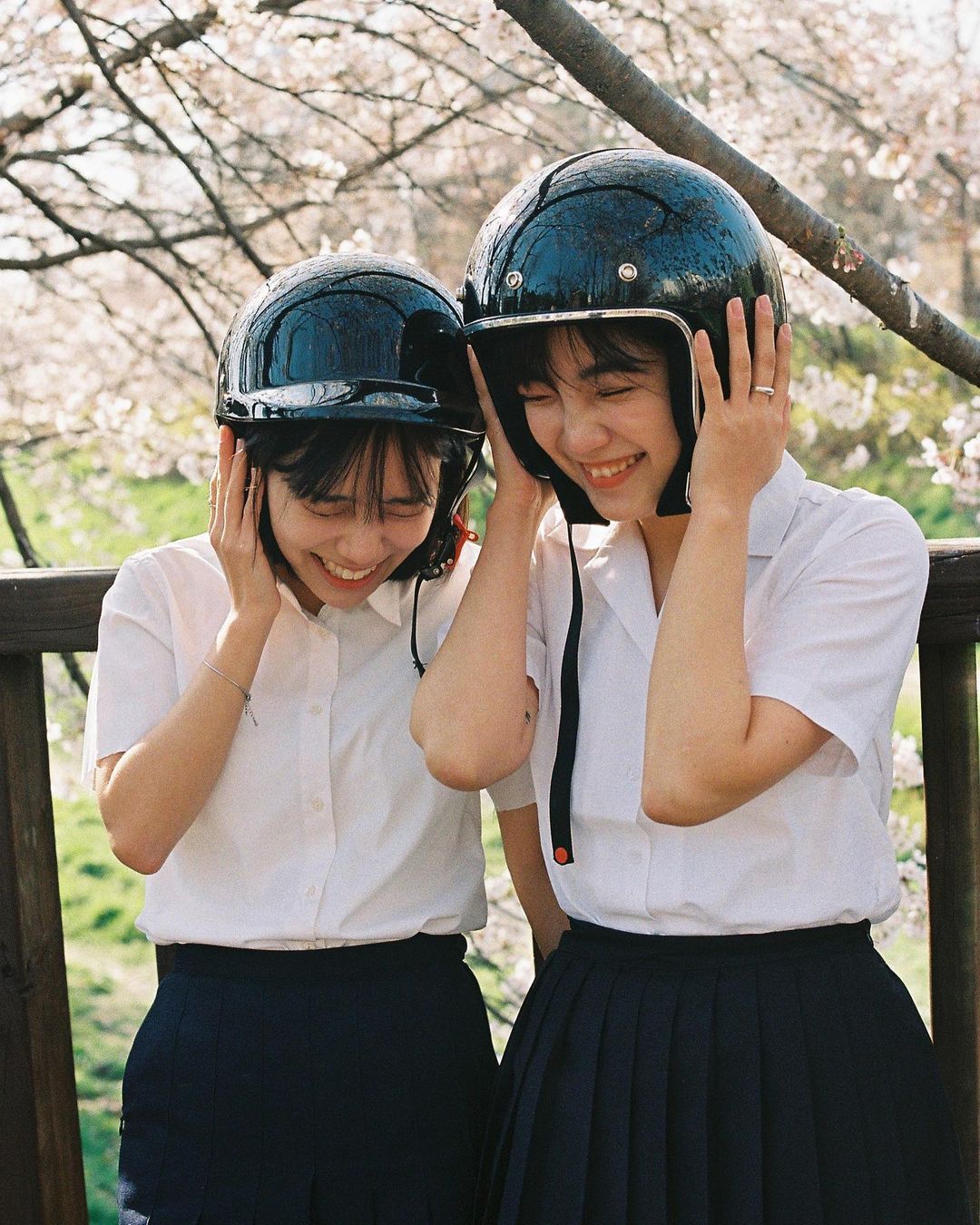 6a62ed94210f1.jpg