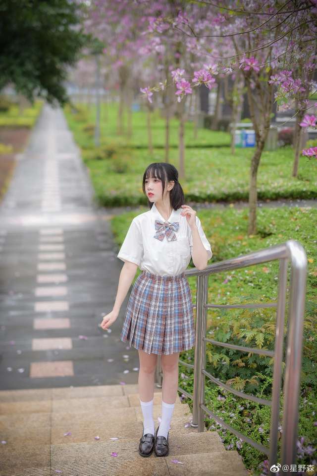 6a62ee14147d2.jpg