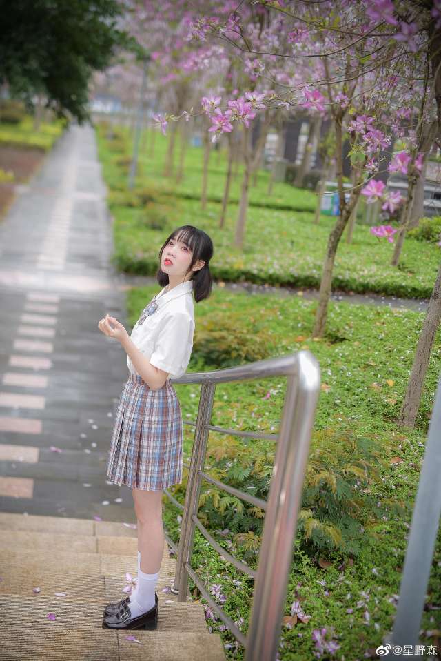 6a62ee14666a4.jpg