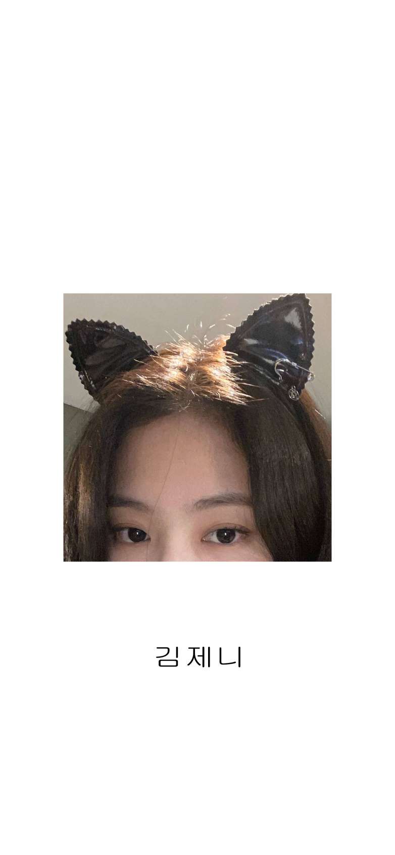 6a62ee3d2adfa.jpg