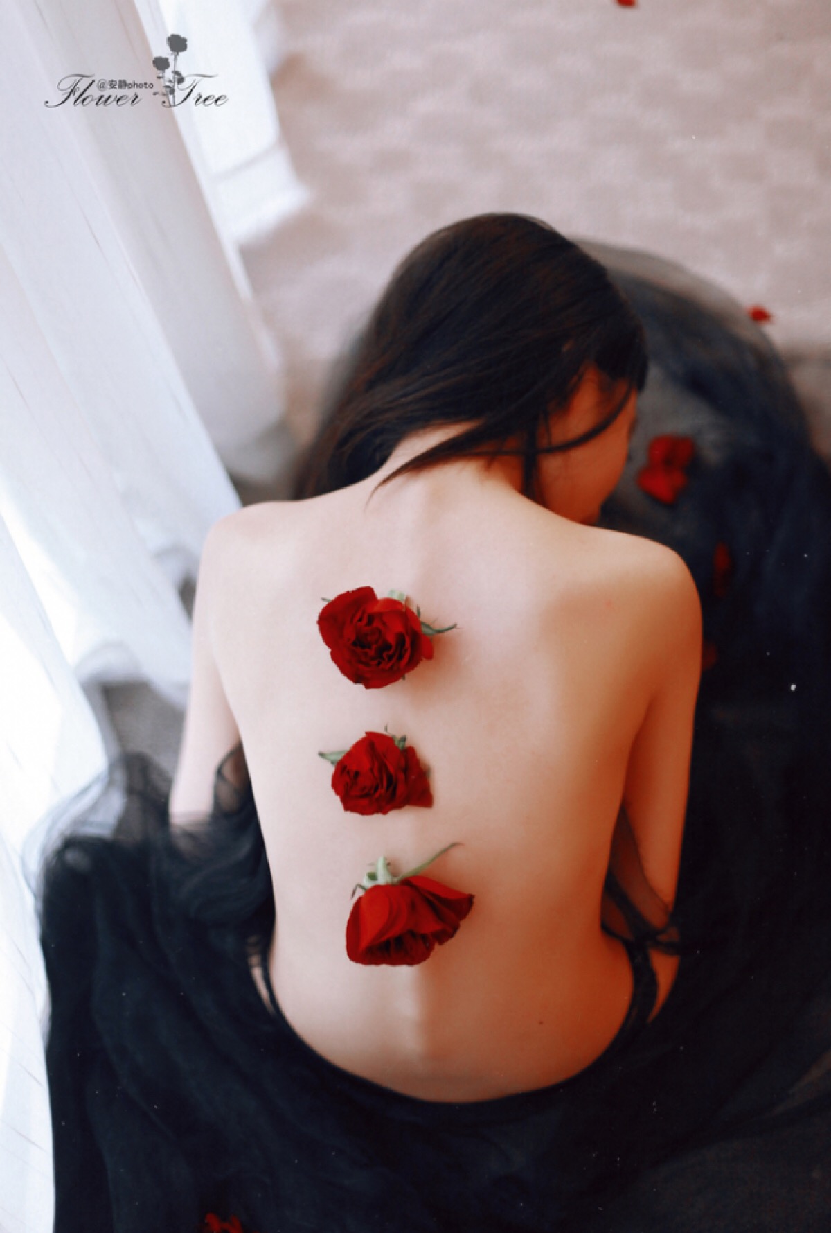 6a62ee48d959f.jpg
