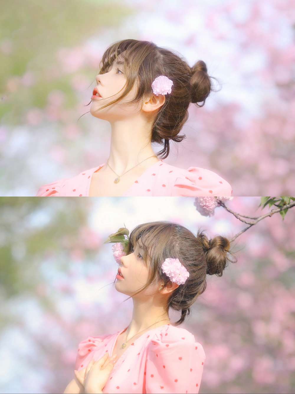 6a62ee4cb46e8.jpg