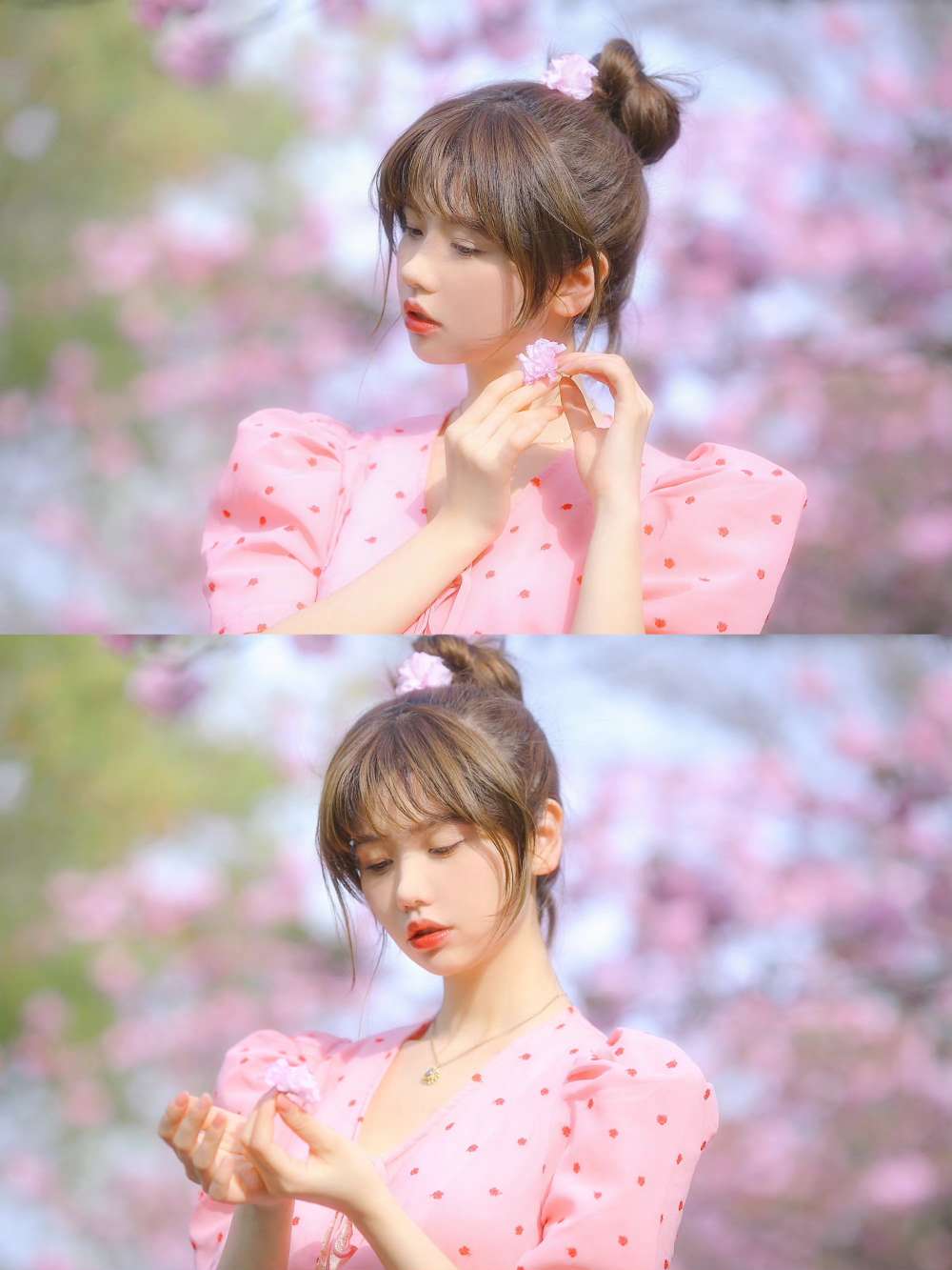 6a62ee4e512b6.jpg