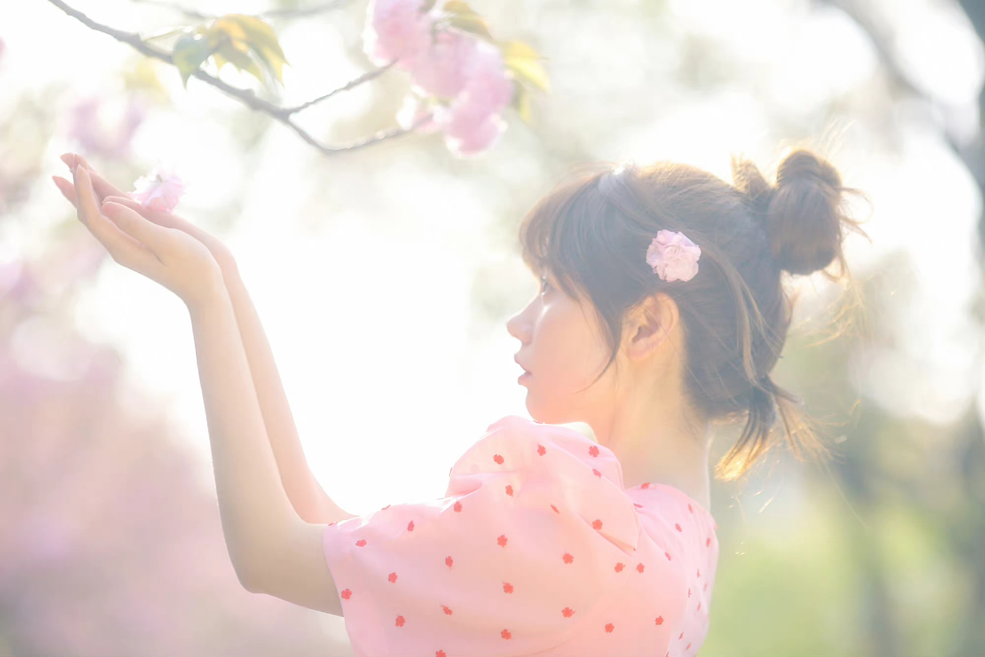 6a62ee4ef26ae.jpg