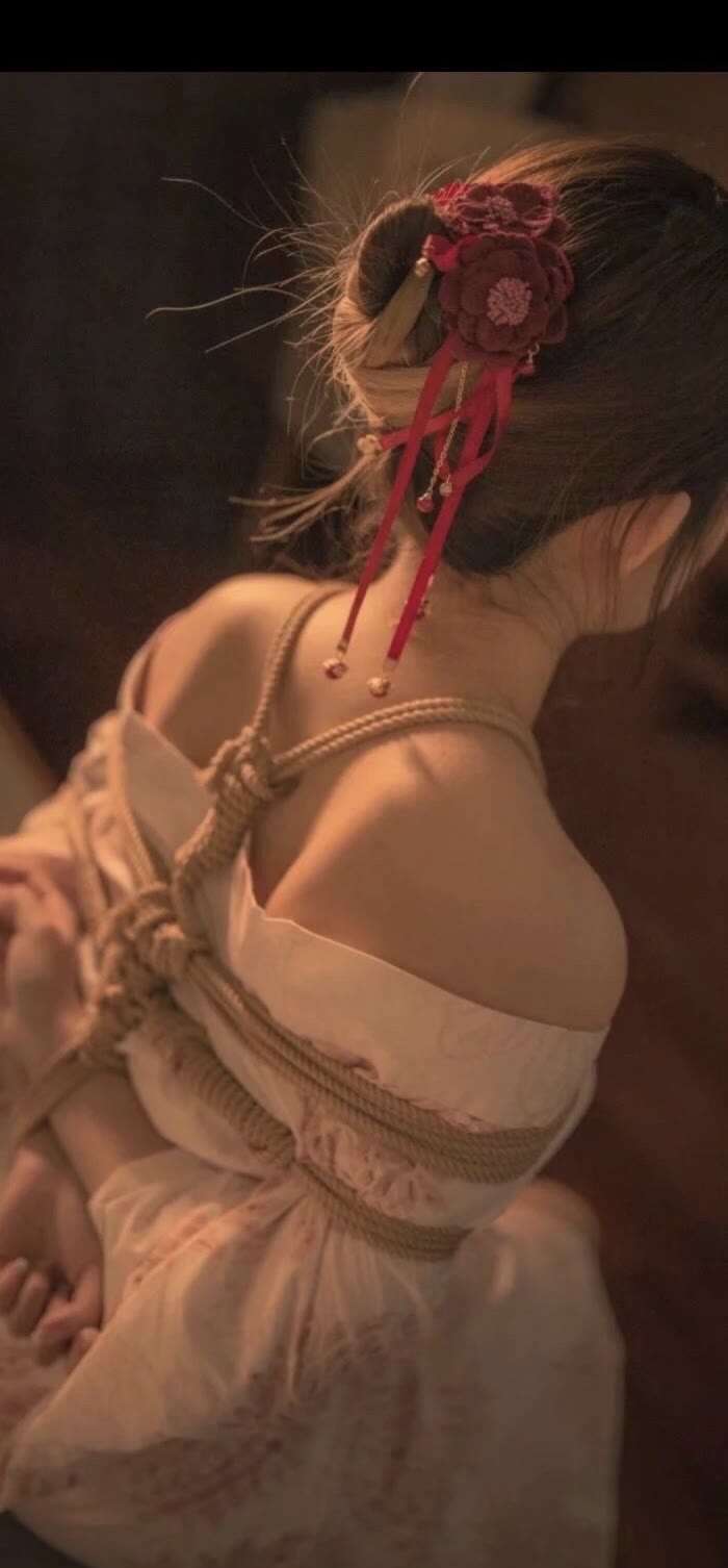 6a62ee4fd7ec3.jpg