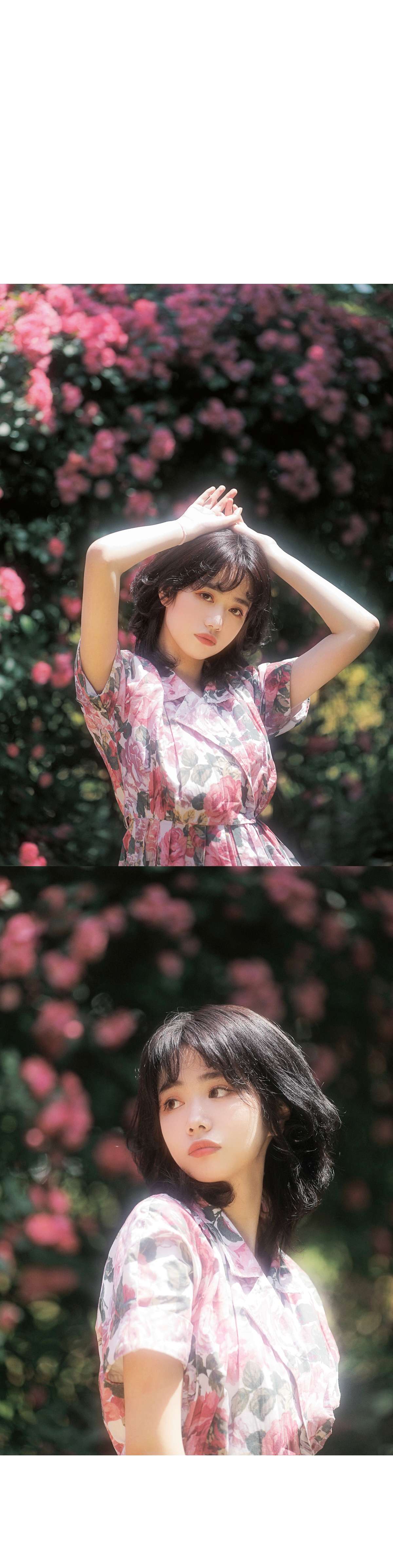 6a62ee965d97c.jpg