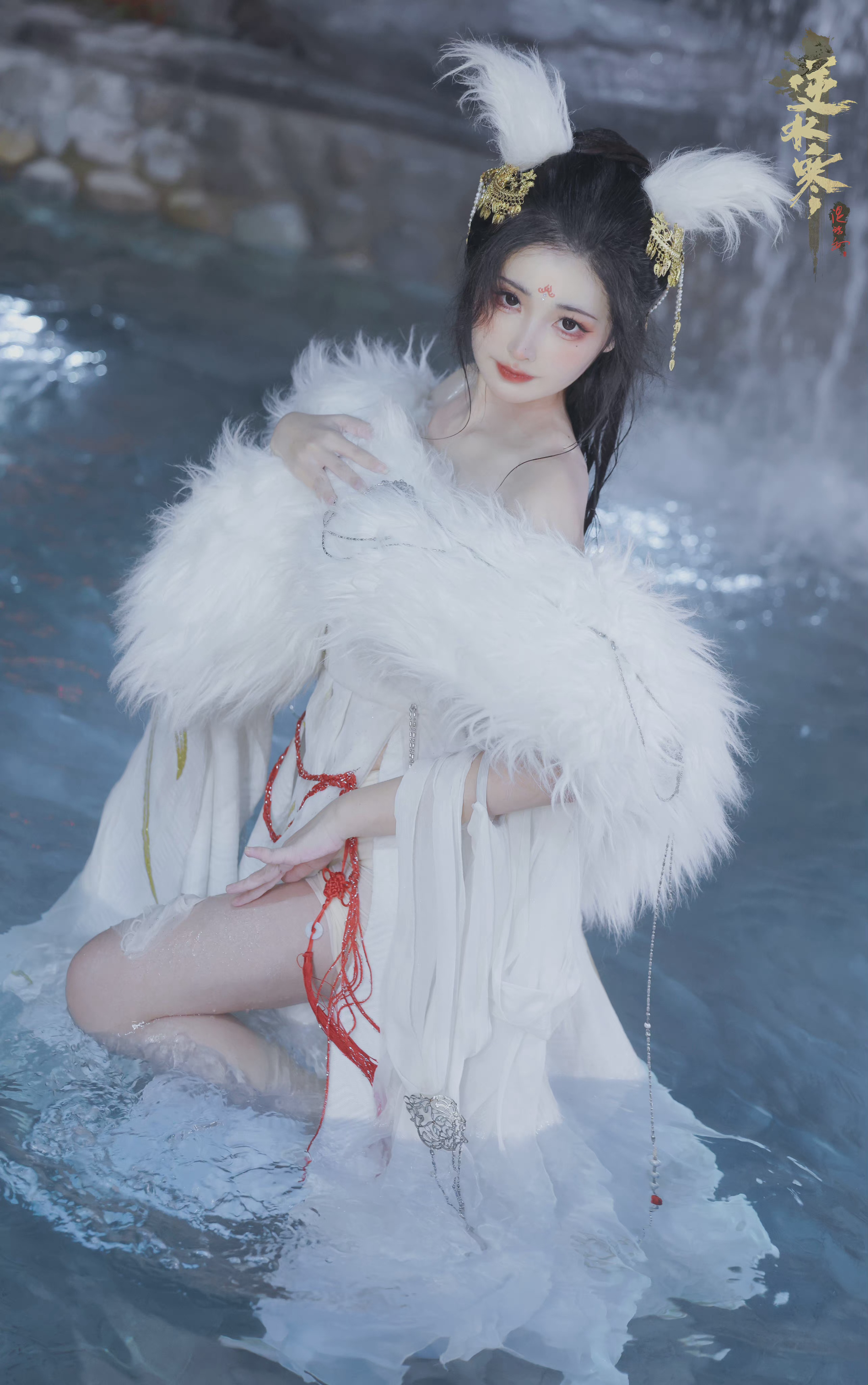 6a62eed491c58.jpg