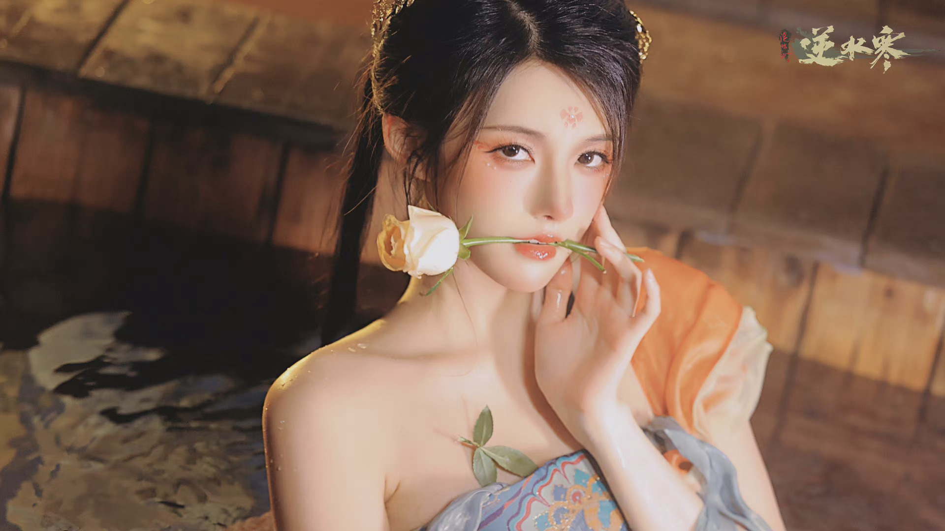 6a62eed5604fa.jpg