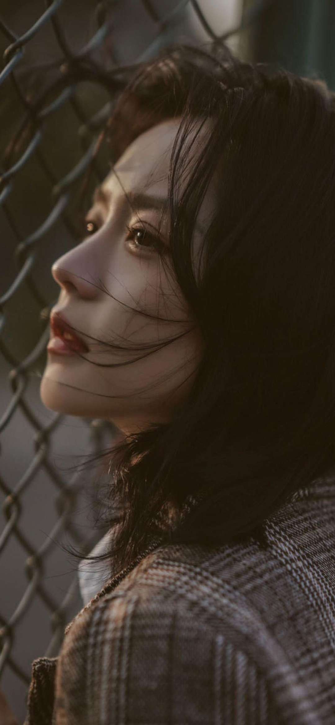 6a62ef02cb370.jpg