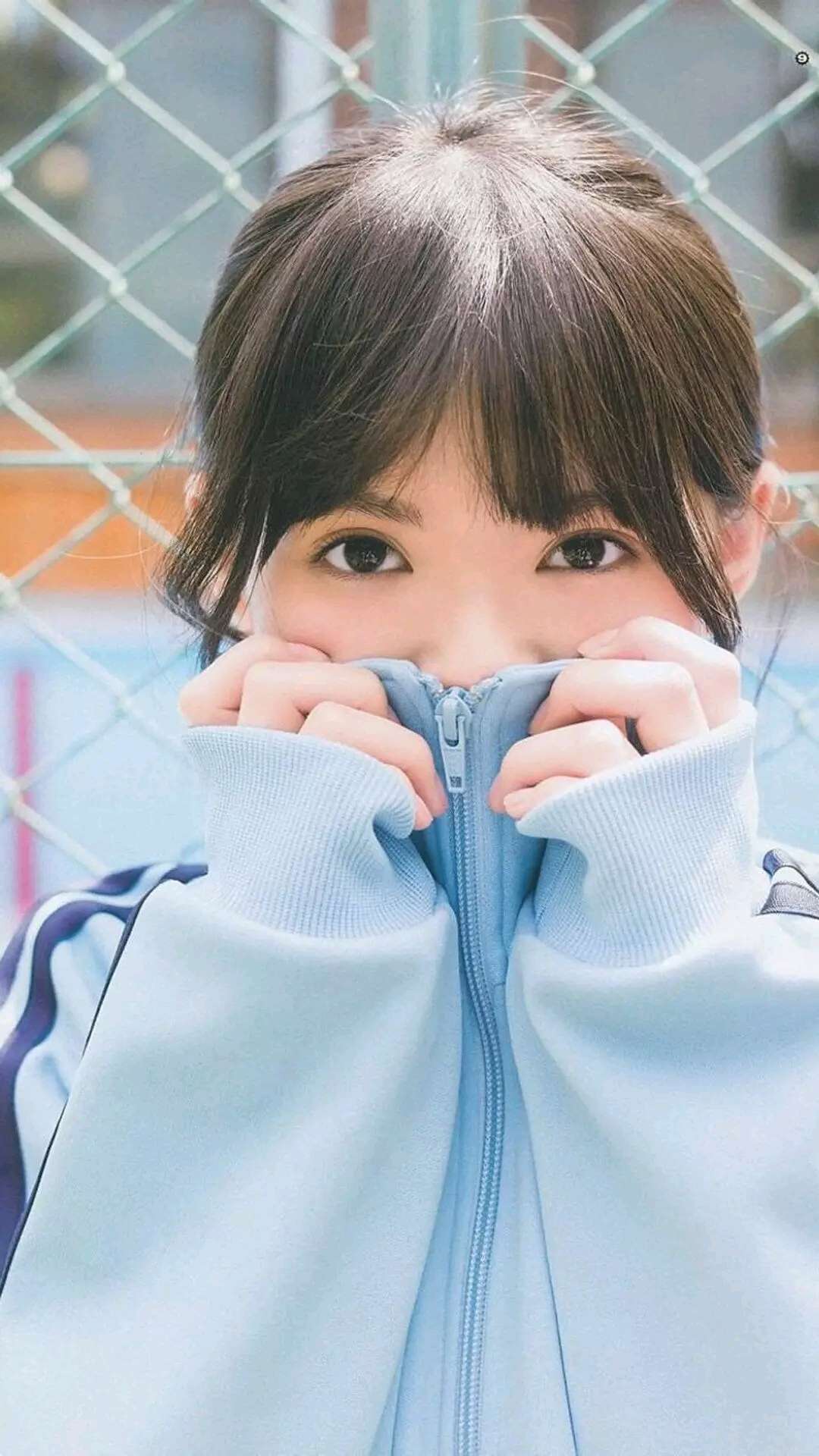 6a62ef153ce6f.jpg