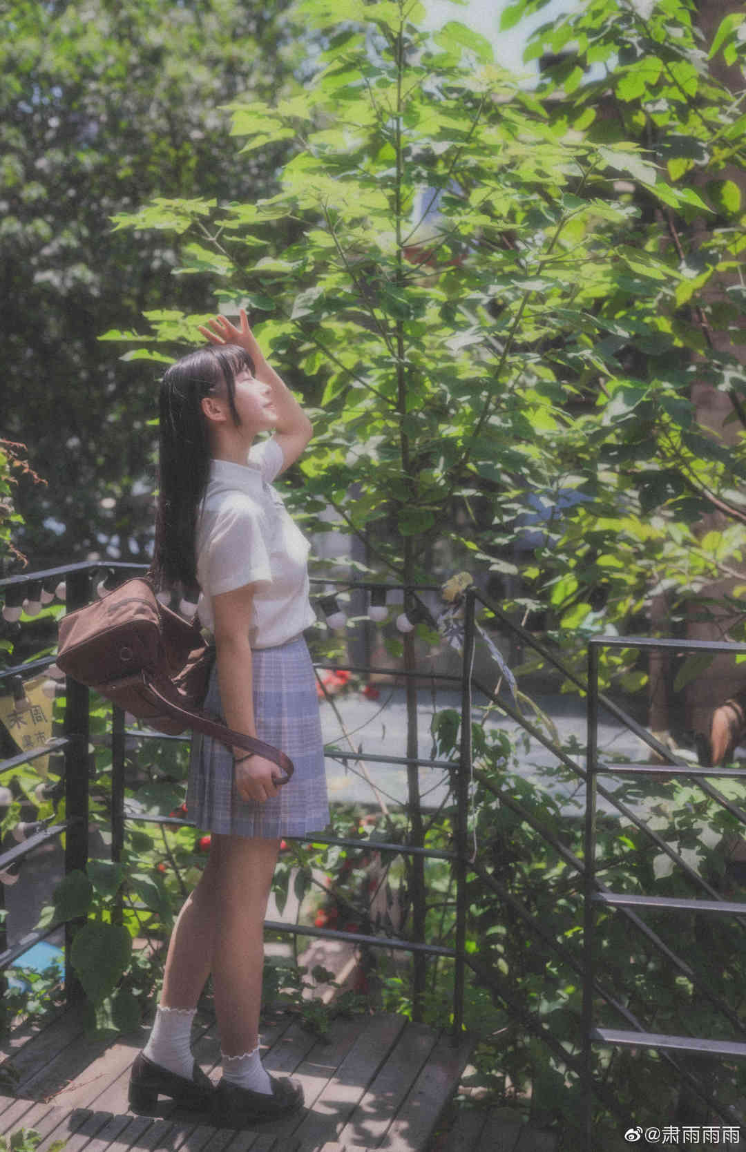 6a62ef3d3179e.jpg