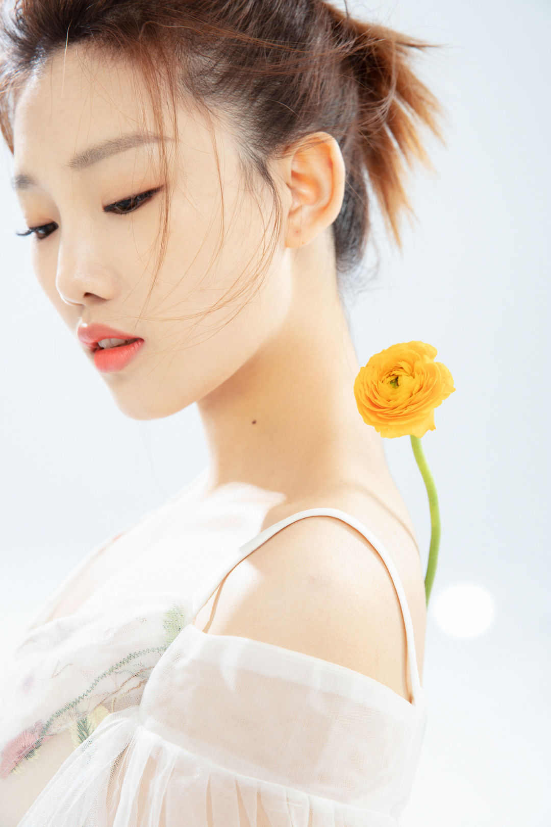 6a62ef7232cce.jpg