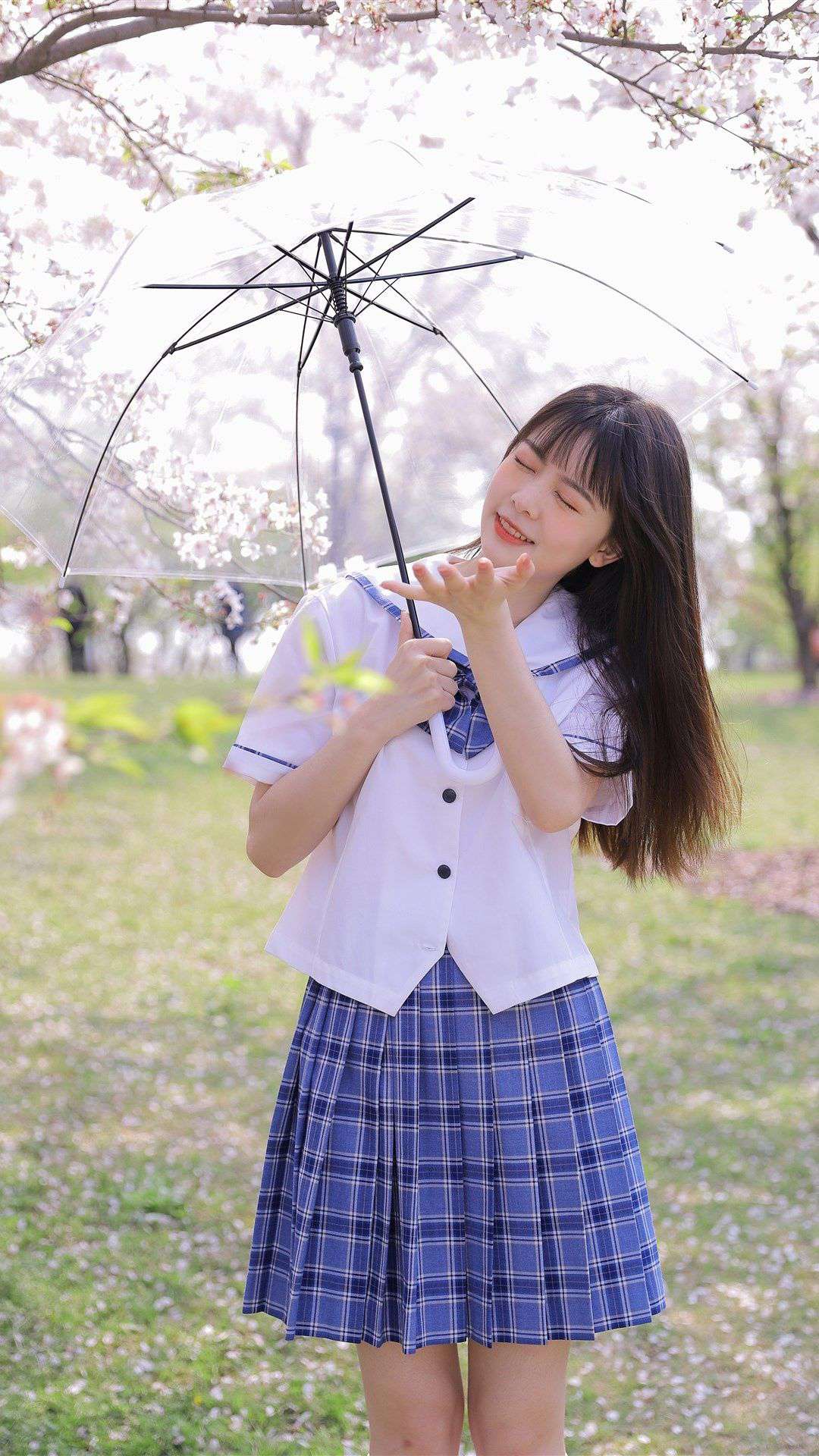 6a62ef7e1b80f.jpg