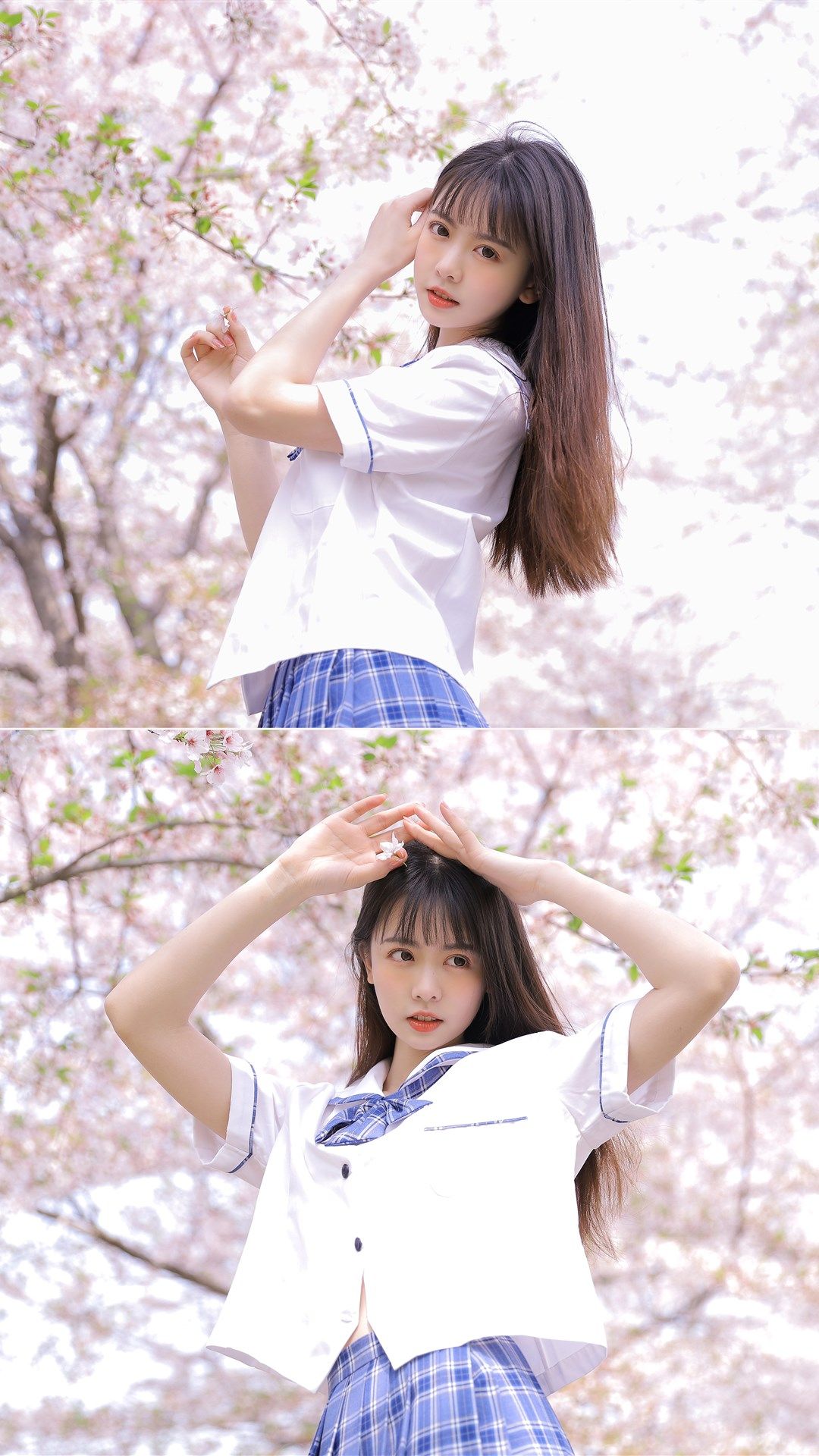 6a62ef7f67cc9.jpg