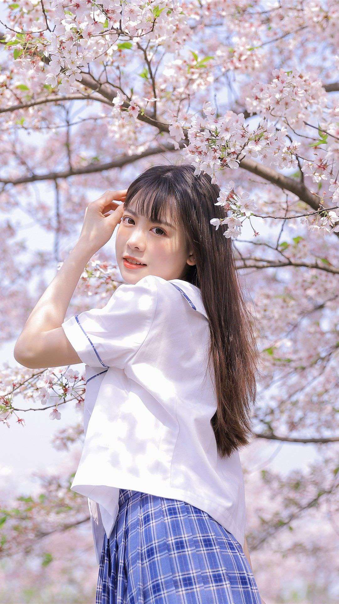 6a62ef823a0c8.jpg
