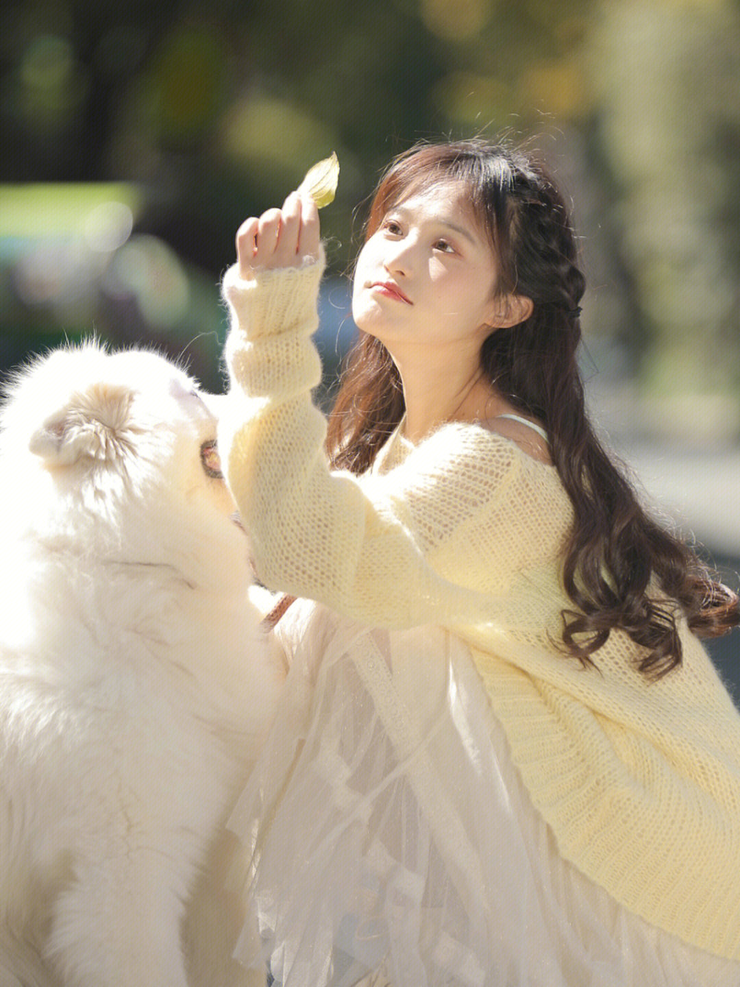 6a62efbb33615.jpg