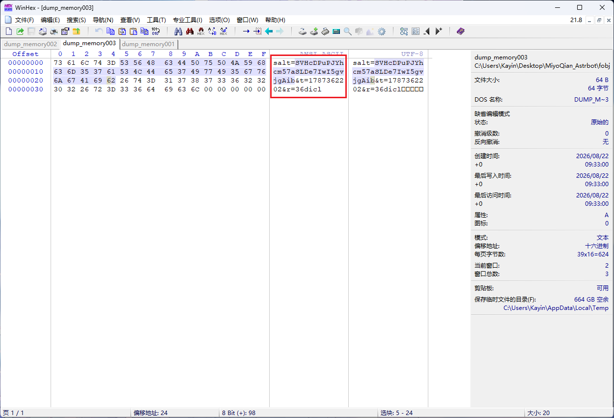 WinHEX 查看 dump