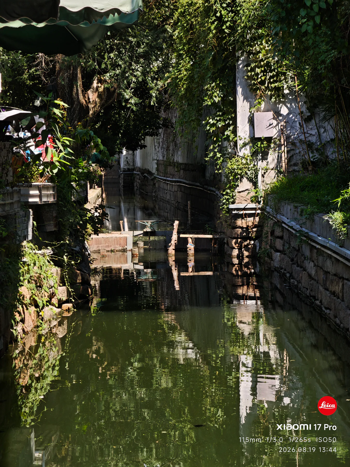 苏州游记-04-平江路窄巷流水.webp